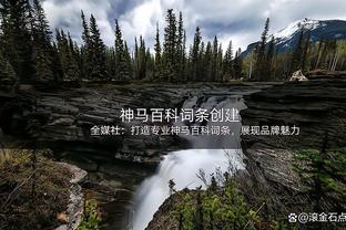 埃泽利谈TJD：他和我一样能跑能护筐 但他组织能力比我更好